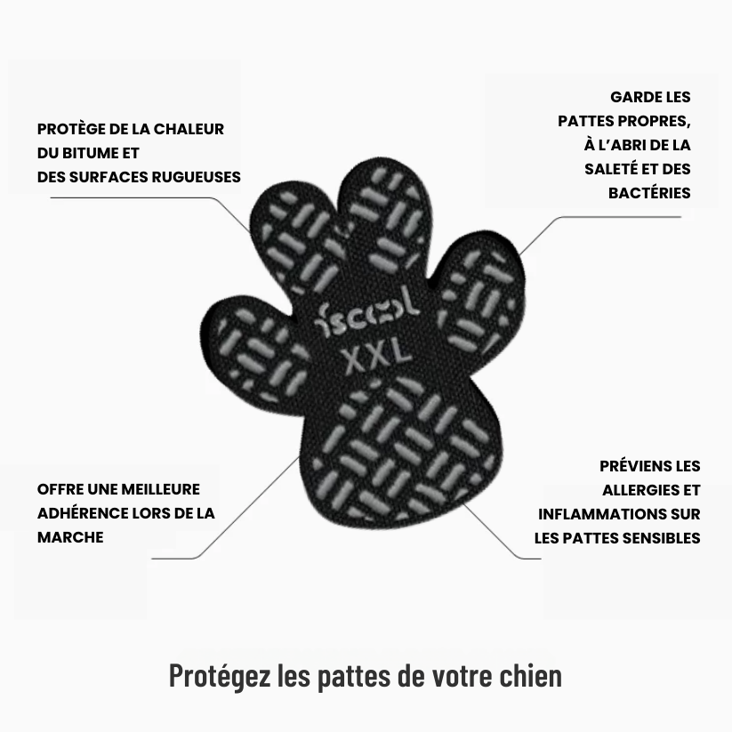 Protège-pattes