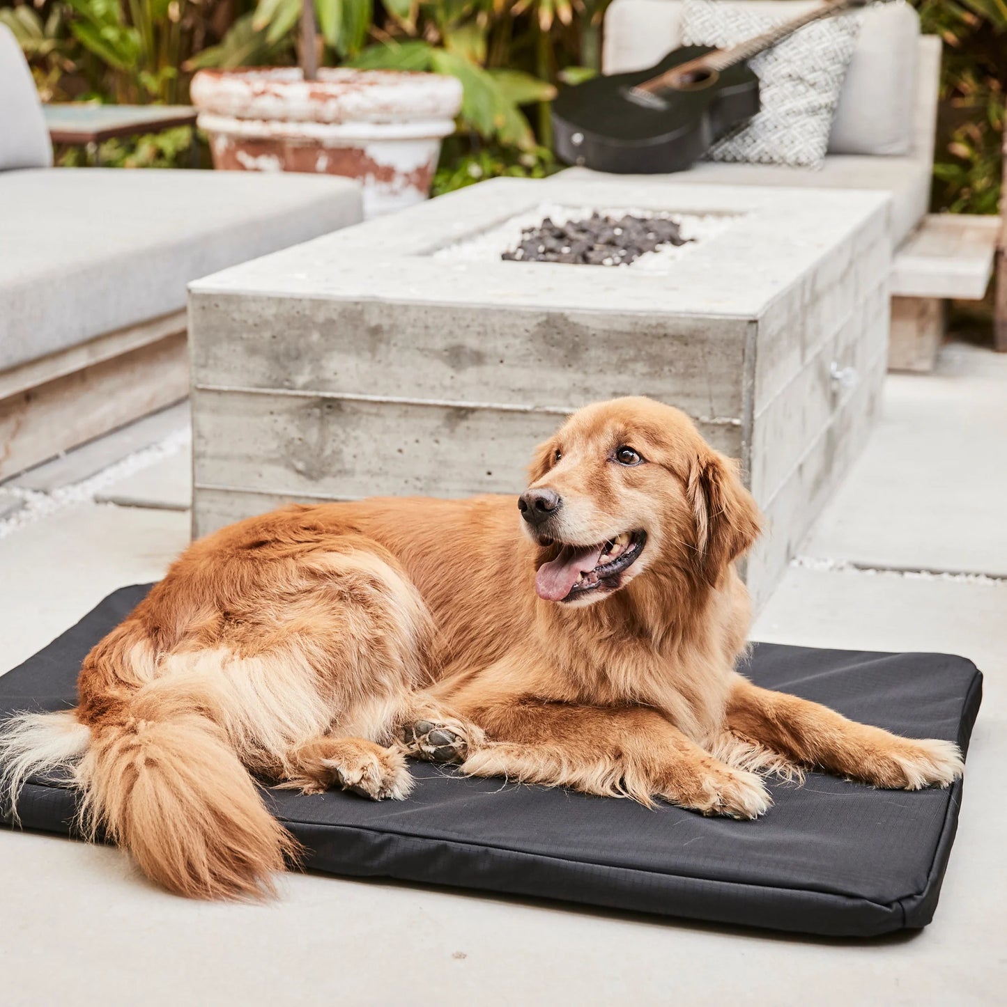 Lit orthopédique pour cage pour chien