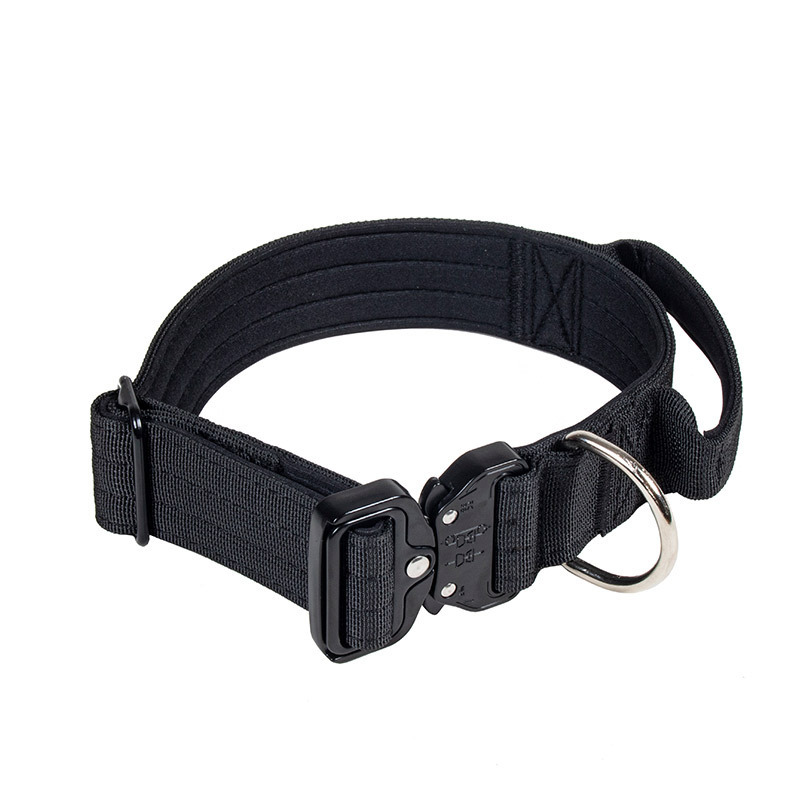 Collier de dressage robuste