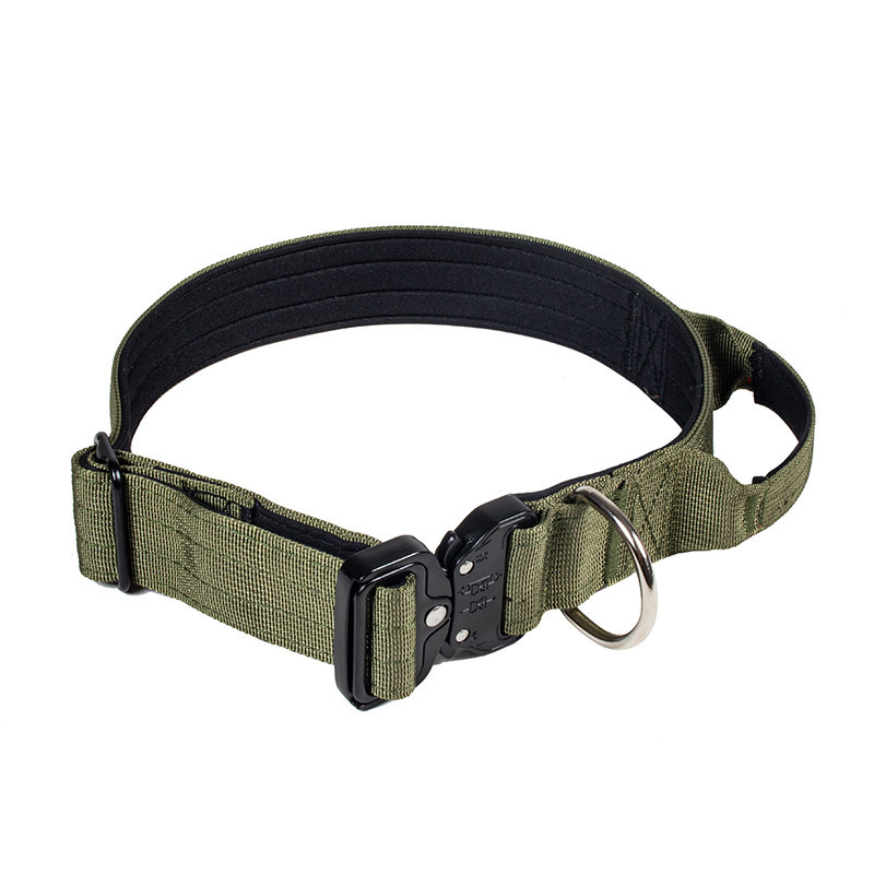 Collier de dressage robuste