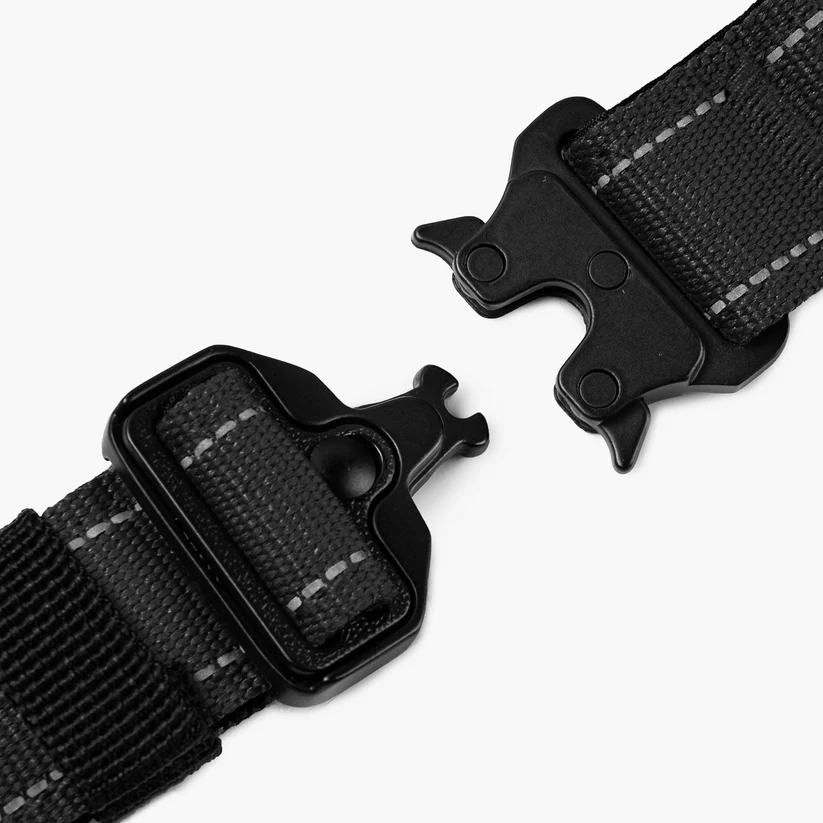 Collier de dressage robuste