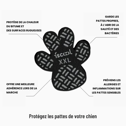 Protège-pattes