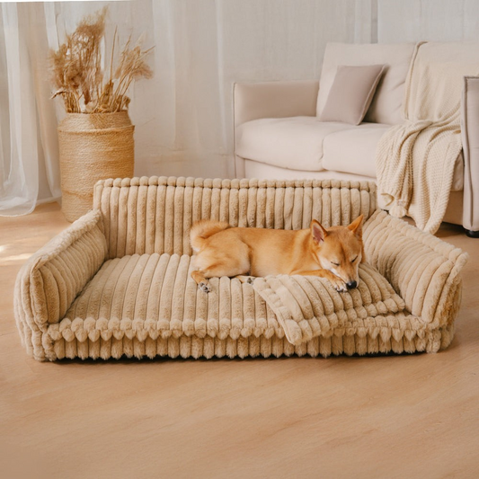 Coussin Orthopédique Moelleux