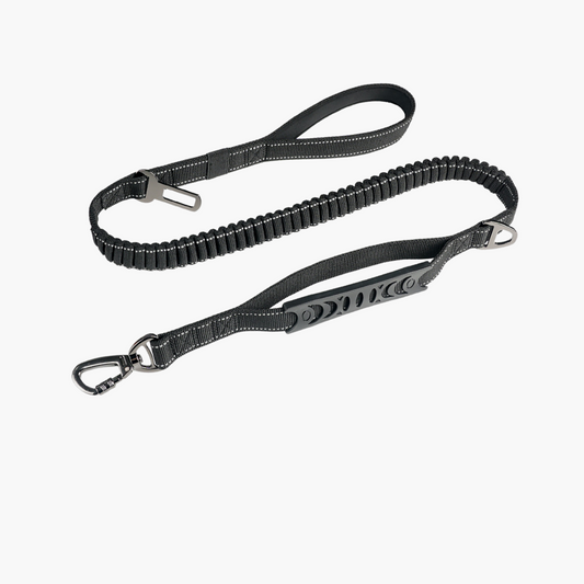 Laisse élastique anti-traction – Noir