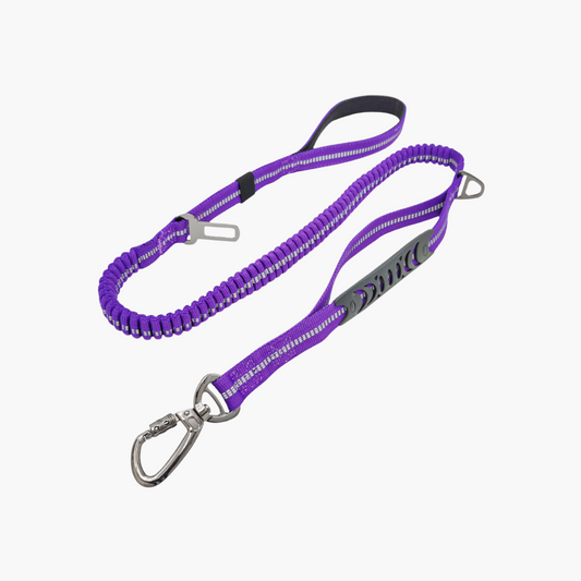 Laisse élastique anti-traction – Violet