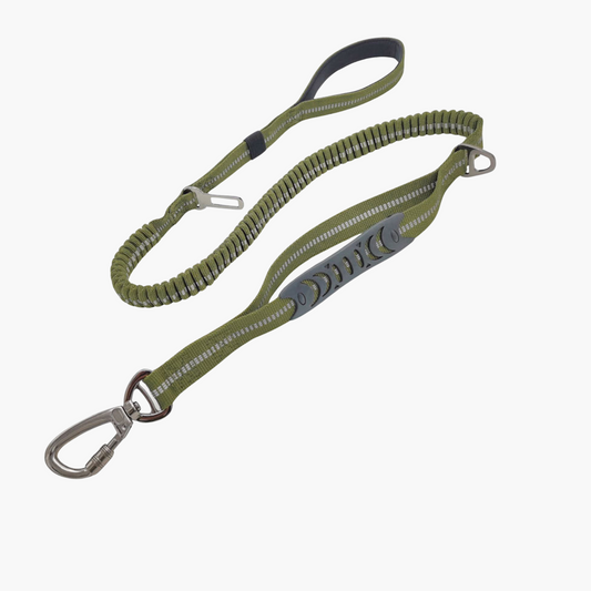 Laisse élastique anti-traction – Vert