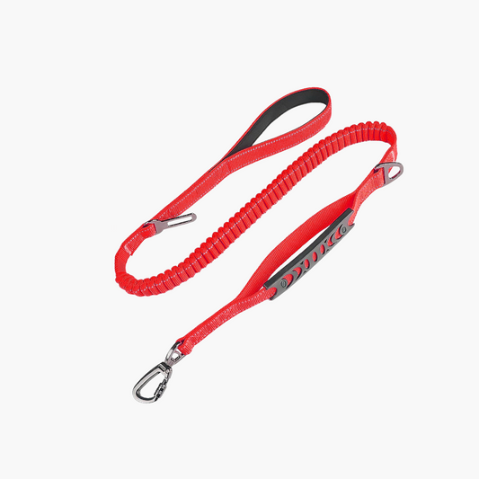 Laisse élastique anti-traction – Rouge