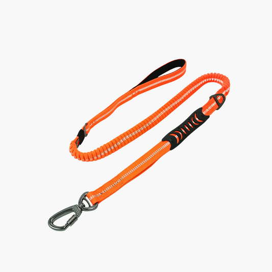 Laisse élastique anti-traction – Orange