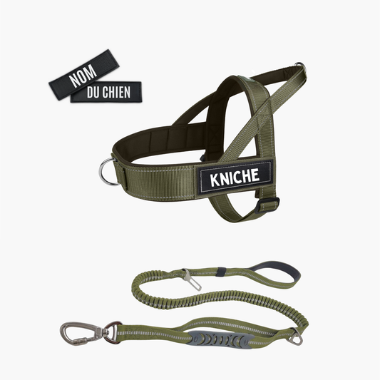 Kit Signature – Harnais + Laisse (Vert)