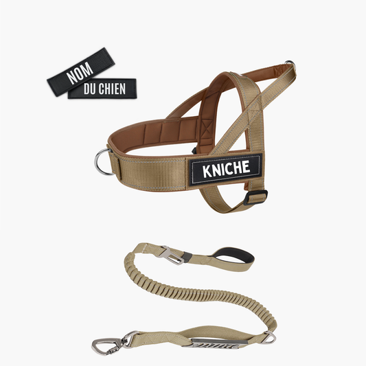 Kit Signature – Harnais + Laisse (Beige sable)