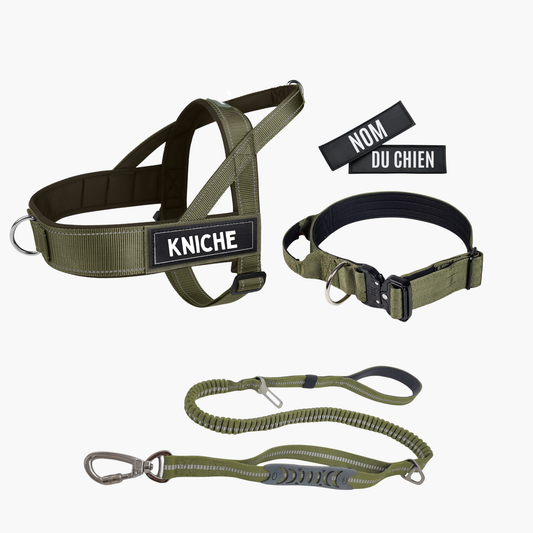 4 pièces Harnais + Laisse + Collier + Patch (Vert)