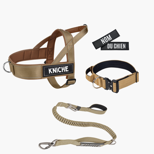4 pièces Harnais + Laisse + Collier + Patch (Beige Sable)