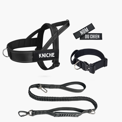4 pièces Harnais + Laisse + Collier + Patch