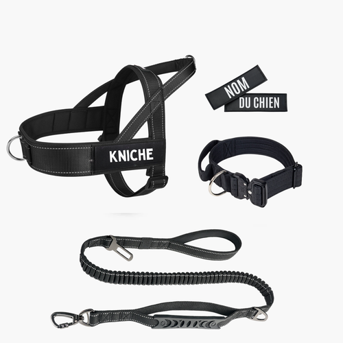 4 pièces Harnais + Laisse + Collier + Patch