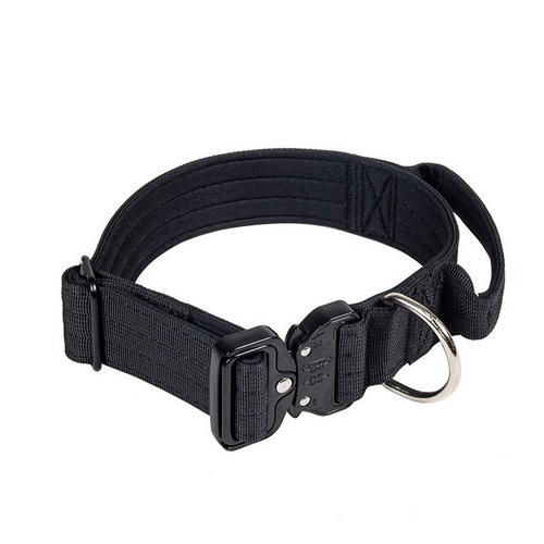 Collier de dressage robuste