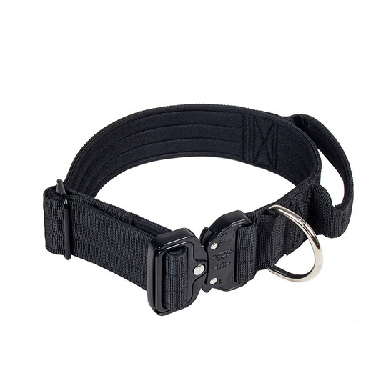 Collier de dressage robuste