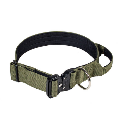 Collier de dressage robuste